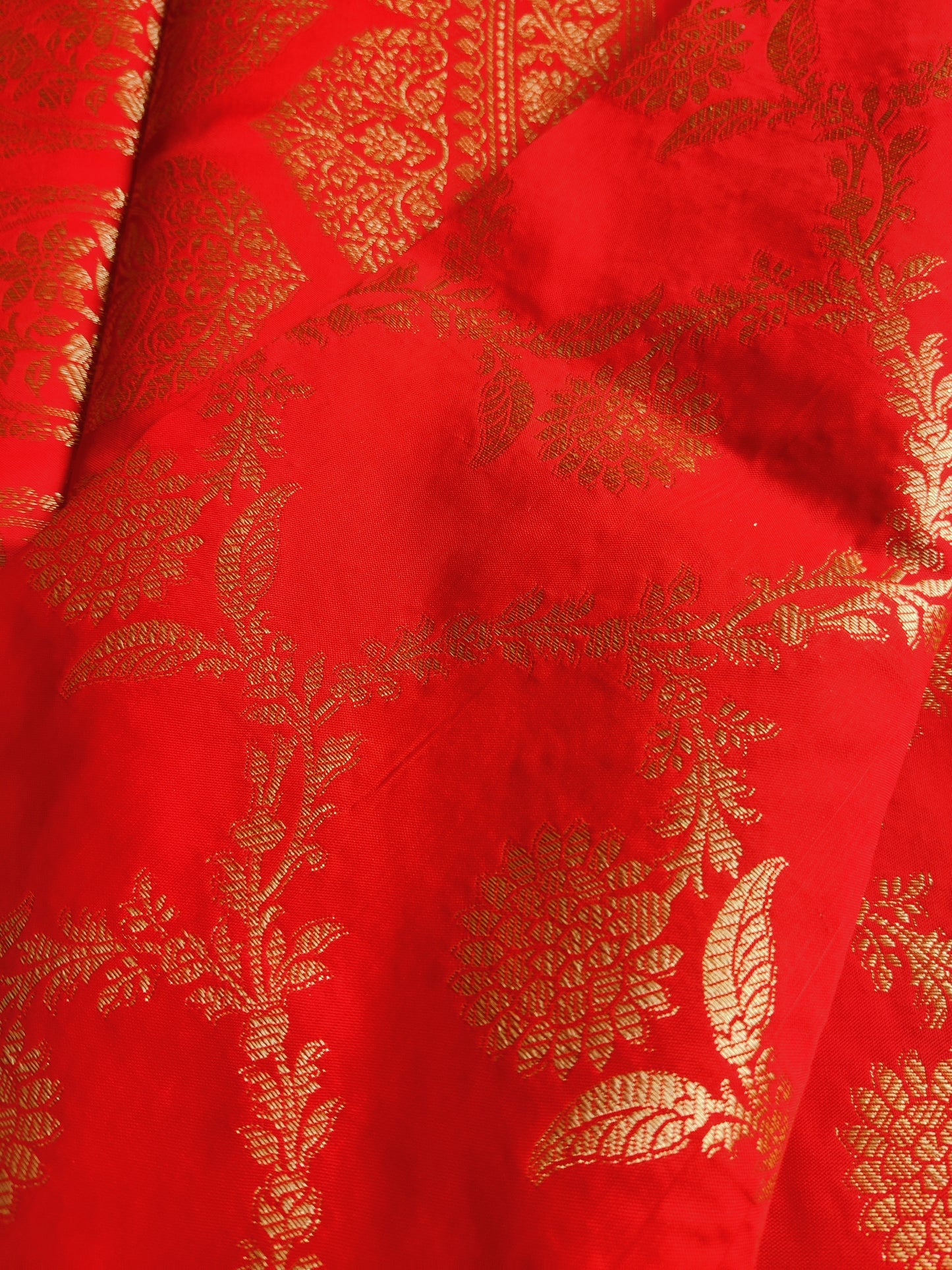Floral Jaal Banarasi Saree