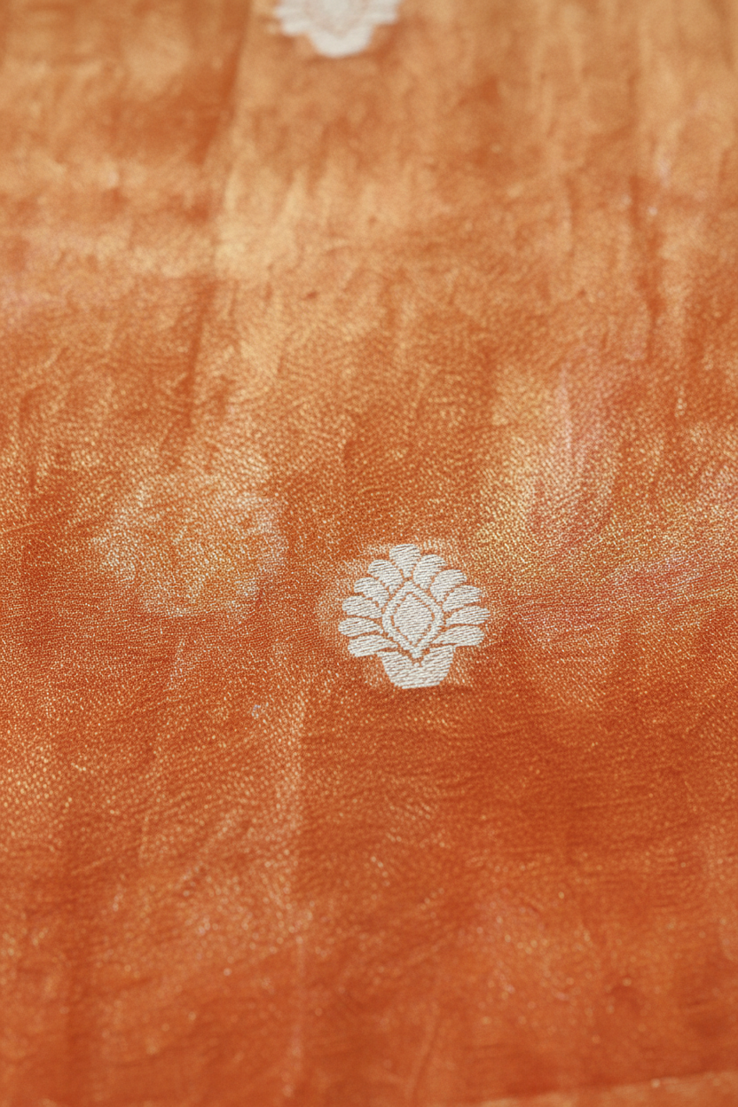 Kavya Banarasi Tissue Saree Dual Tone