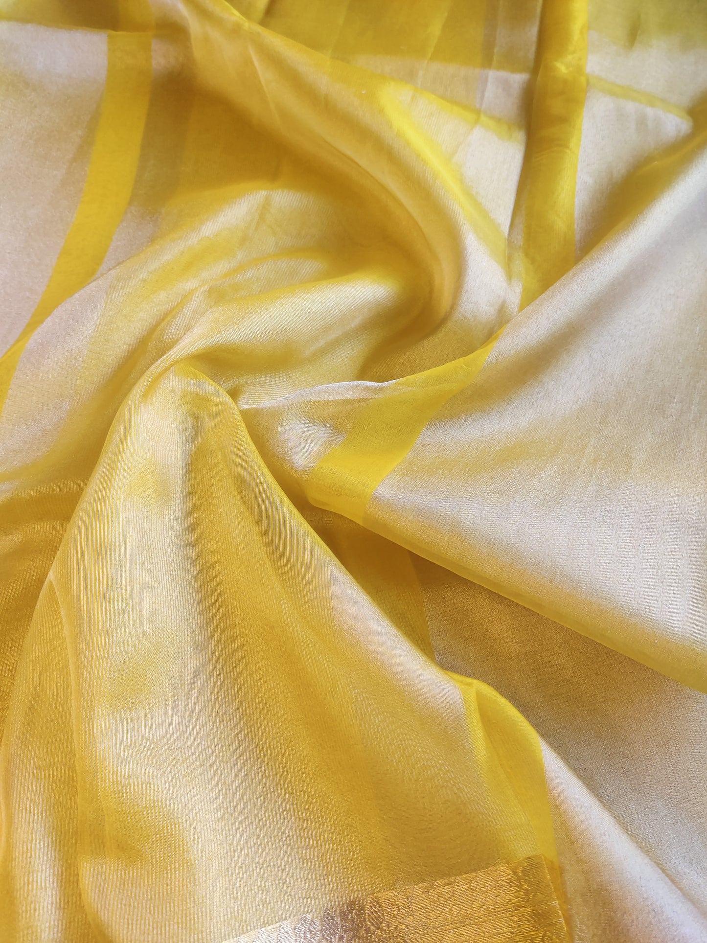 Olive Gold Tissue Saree