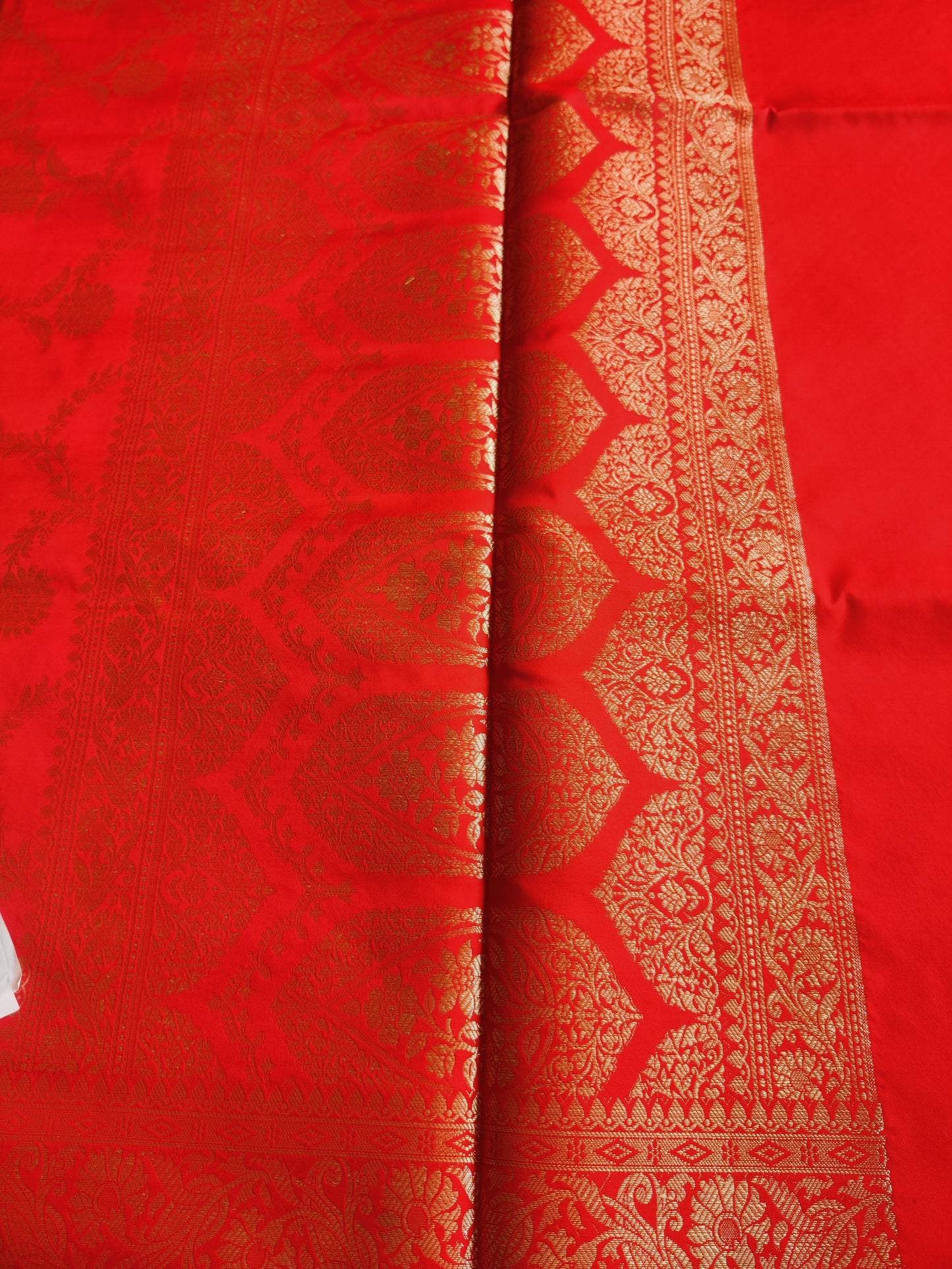 Floral Jaal Banarasi Saree