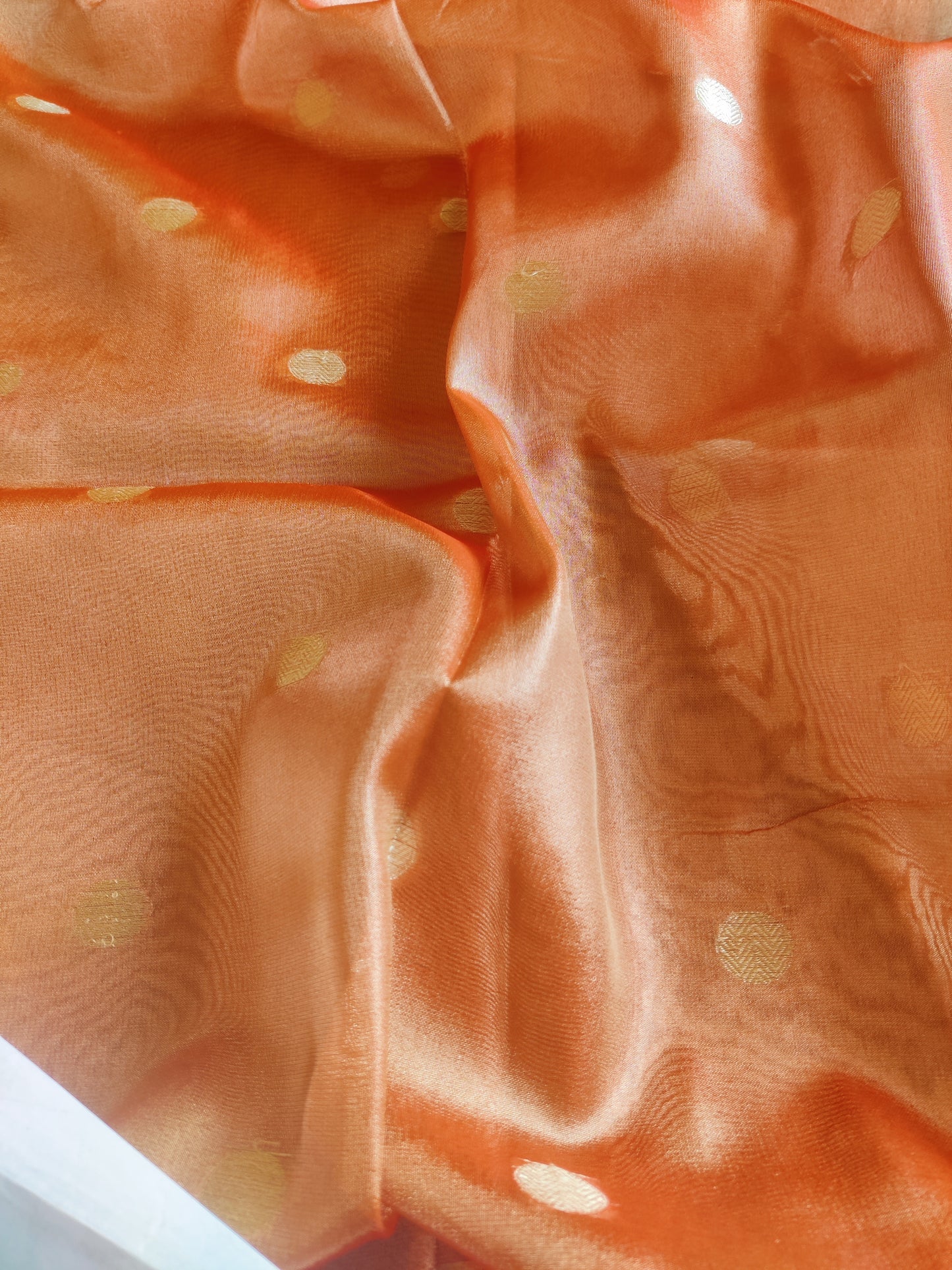 Aarohi Banarasi Tissue Saree with Lace