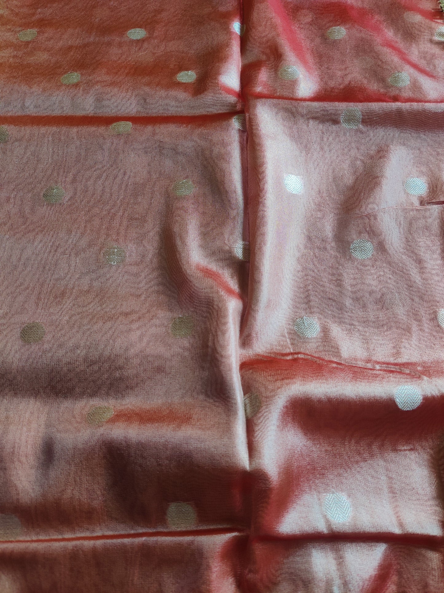 Aarohi Banarasi Tissue Saree with Lace